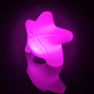 リチャージ可能 LED ガーデンホーム 海星飾り灯